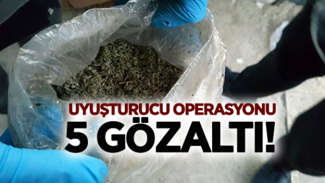 MANİSA'DA UYUŞTURUCU OPERASYONU: 5 GÖZALTI