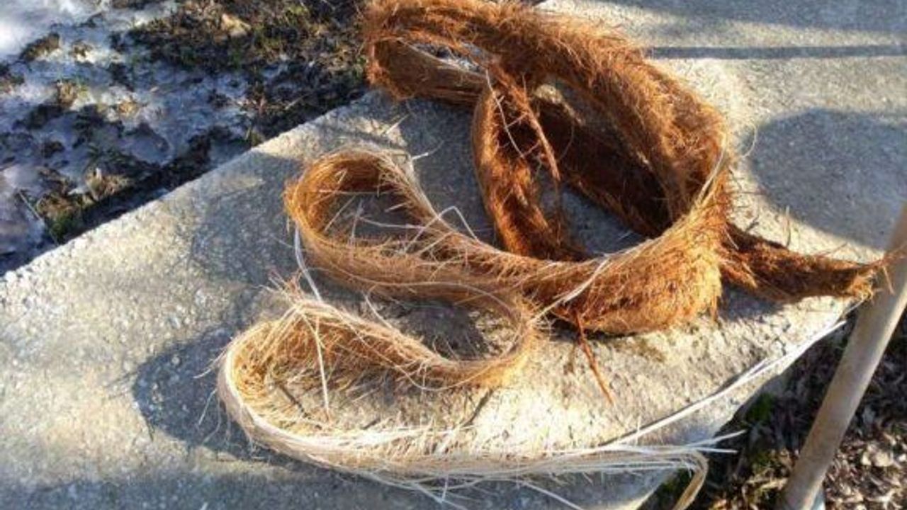 İÇME SUYU HATTINDAN 3 METRELİK KUNDUZ ÇIKTI