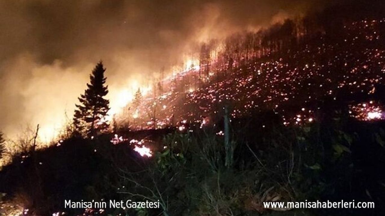 Karadeniz'de 58 bölgede orman yangını!