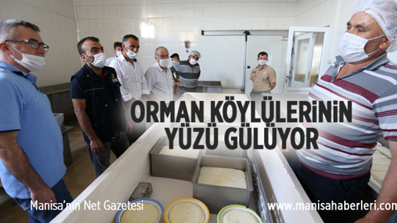 ORMAN KÖYLÜLERİNİN YÜZÜ GÜLÜYOR