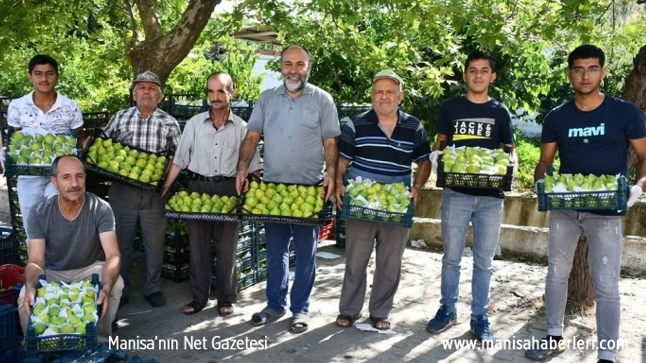 Yediveren incirinin 'Turgutlu inciri' olarak tescillenmesini istiyorlar