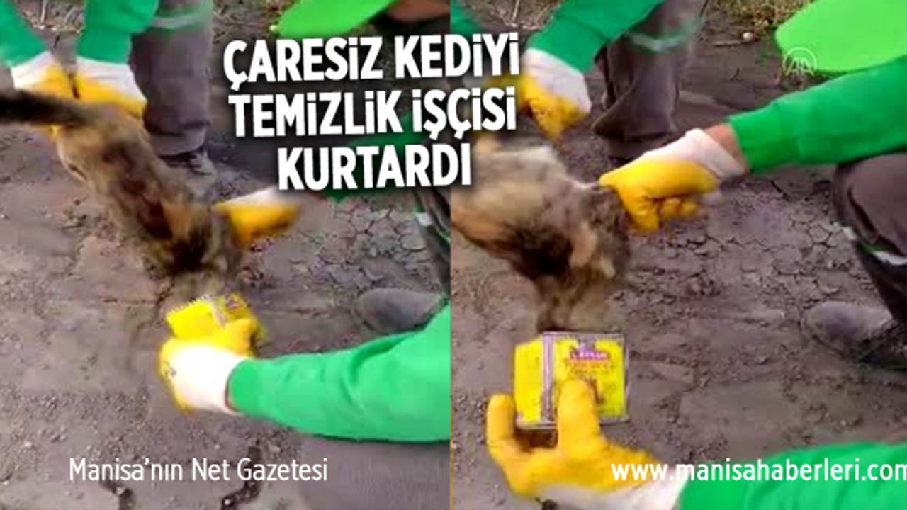 Kafası çay kutusuna sıkışan kediyi temizlik işçileri kurtardı