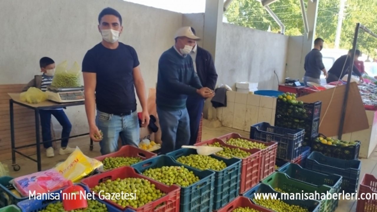 Yüksek fiyat salamura zeytin yapımını yaygınlaştırdı