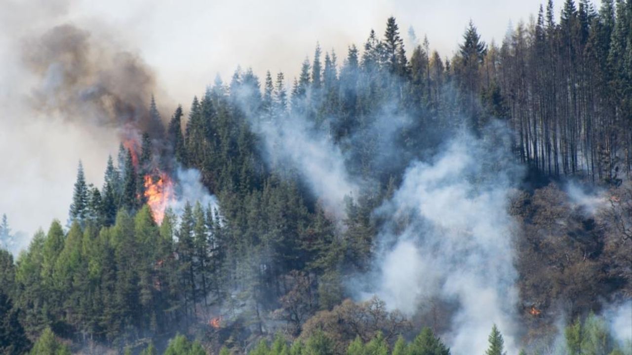 Orman fakültesinden yangın uyarısı: “Sıkıntılı dönemler bizi bekliyor”
