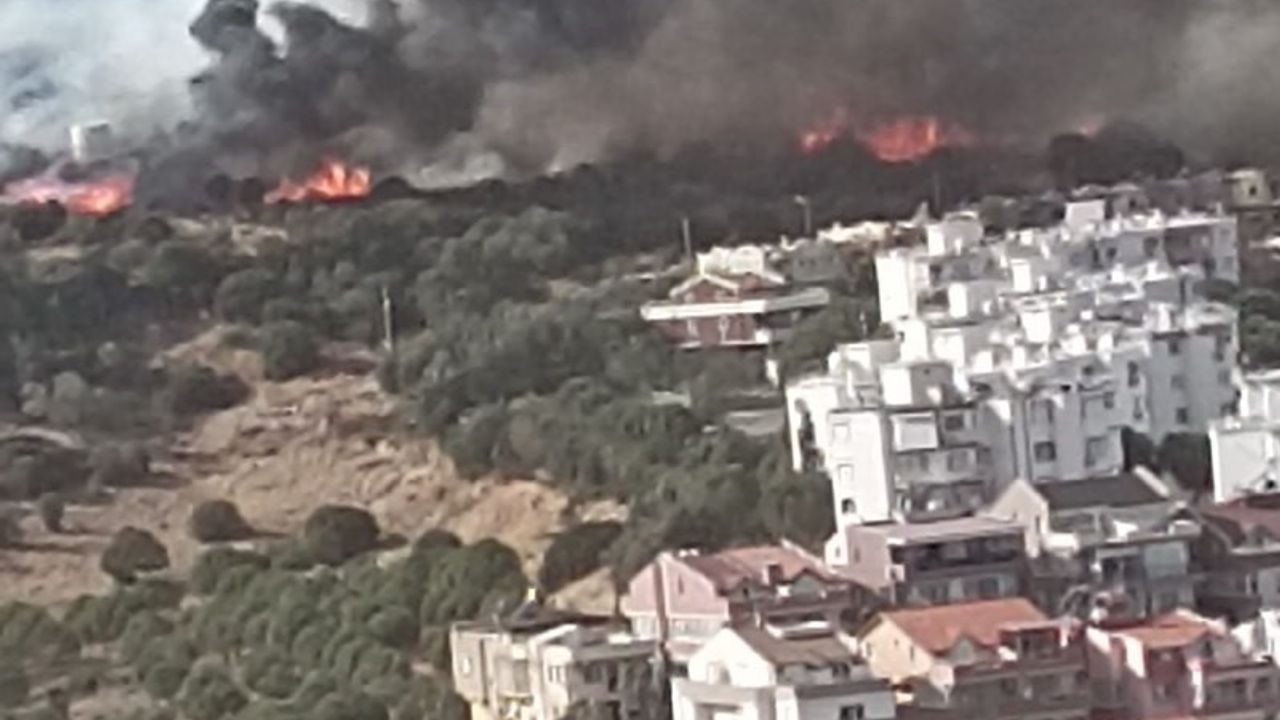 İzmir’de yerleşim yerlerine yakın alanda orman yangını