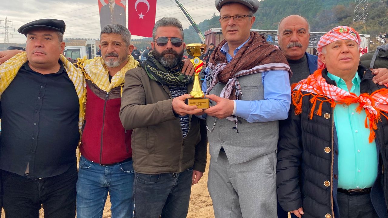 Alaşehir'de deve güreşi kültürü yaşatılıyor