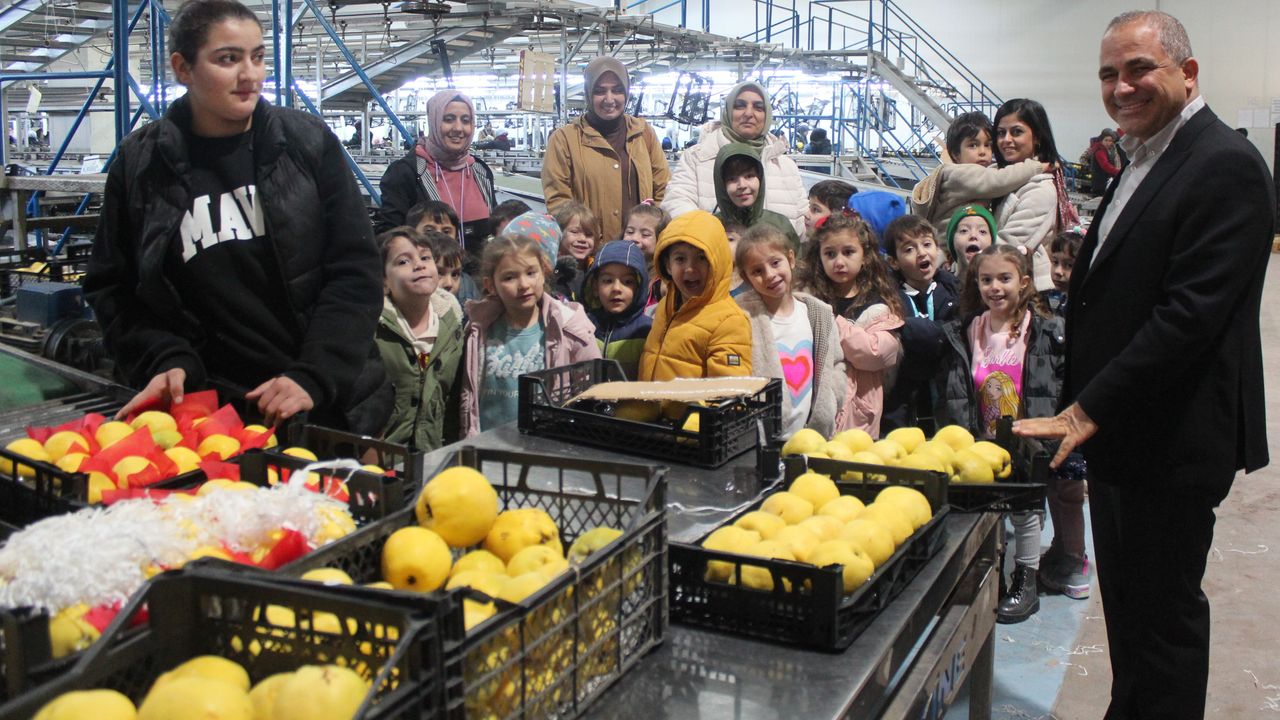 Alaşehirli öğrencilerden yaş meyve sebze işletmesine ziyaret