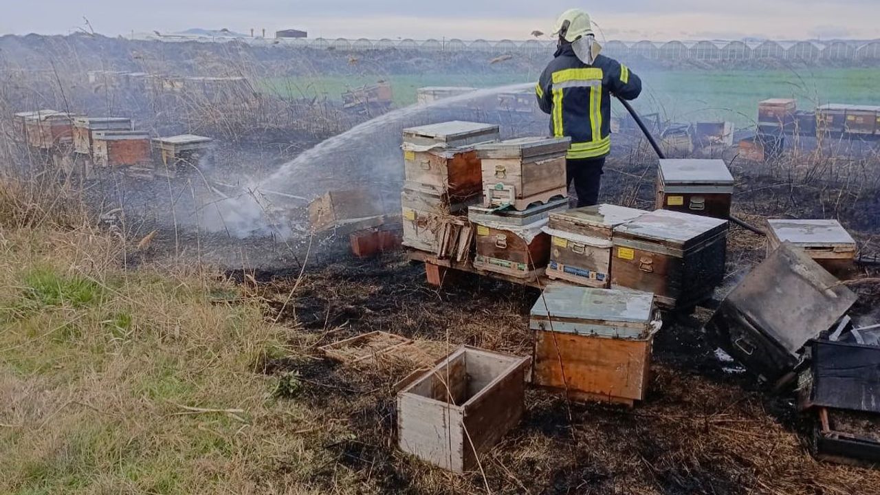 Arı kovanları yandı, binlerce arı telef oldu!