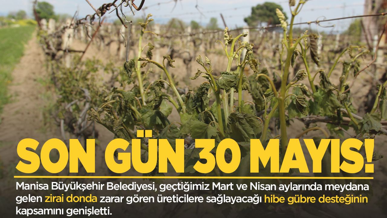 Manisa'da zirai don desteğinden yararlanmak için son gün 30 Mayıs!