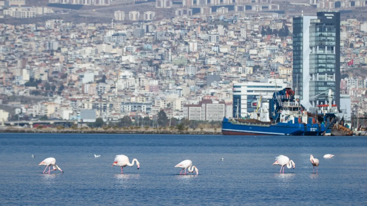 İzmir 'iklim nötr' hedeflerini dünyaya tanıttı