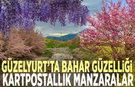 Güzelyurt’ta bahar güzelliği: Kartpostallık manzaralar