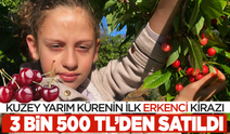 Kuzey  yarım kürenin ilk erkenci kirazı 3500 TL ‘den satıldı