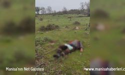Manisa’da vahşet: Amcaoğlunu tüfekle vurdu