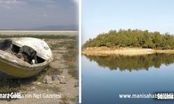 Marmara Gölü kurudu göçmen kuşlar rotayı Spil'deki Sülüklü Göle çevirdi