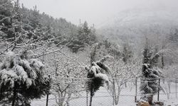 Nisan'a 2 gün kala kar sürprizi!  Spil Dağı Milli Parkı beyaza büründü
