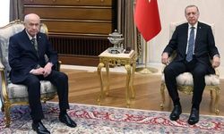 Cumhurbaşkanı Erdoğan, Devlet Bahçeli ile görüşecek