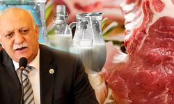 TZOB Başkanı Bayraktar: 'Et ve süt fiyatları artabilir'