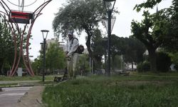 Yunusemre’nin park ve bahçeleri yaza hazırlanıyor