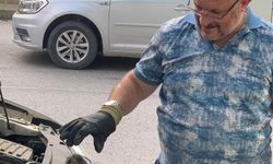 Manisa’da sürücünün dikkati yavru kediyi kurtardı
