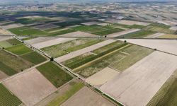 Manisa’da sel felaketi tarım arazilerini vurdu