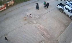 Şanlıurfa’da sokak köpeği çocuğa saldırdı: O anlar kamerada!