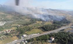  İzmir’deki orman yangını kontrol altına alındı!