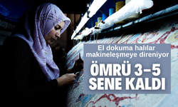 30 ülkeye ihraç ediliyor, ömrü 3-5 sene kaldı