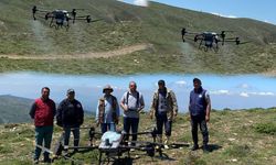 İlçede çekirgeye karşı dron ile mücadele