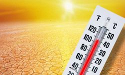 2024 Dünya’nın en sıcak yılı olması bekleniyor!