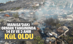 Manisa’daki orman yangınında 14 ev ve 3 ahır kül oldu