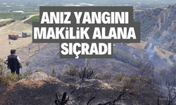 Manisa’da anız yangını makilik alana sıçradı