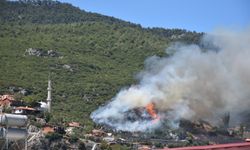 İzmir Kemalpaşa’da orman yangını