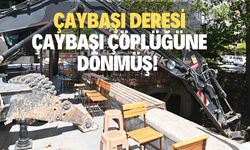 Çaybaşı deresi Çaybaşı çöplüğüne dönmüş!