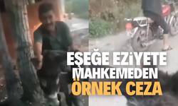 Eşeğe eziyete mahkemeden örnek ceza