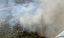 İzmir'de iki farklı noktada orman yangını!
