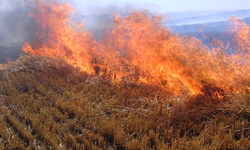 Tarım ve Orman Müdürlüğünden Manisalı üreticiye anız yangını uyarısı!