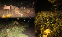 Fırtına ilçeyi savaş alanına çevirdi! Ağaçlar devrildi, araçlar zarar gördü