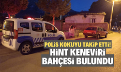 Polis kokunun geldiği yeri takip etti! Hint keneviri bahçesini buldu