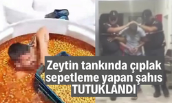 Manisa'da zeytin tankında çıplak sepetleme yapan şahıs tutuklandı