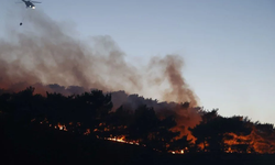 Manisa’daki orman yangınında 2. gün: Alevlerle mücadele sürüyor