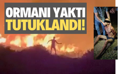 Ormanı yaktı, tutuklandı!