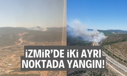 İzmir’de iki ayrı noktada yangın!
