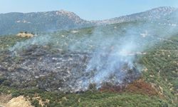 İzmir'de otomobilde çıkan yangın ormana sıçradı! Ekipler müdahale ediyor