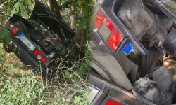 İzmir'de otomobil şarampole uçtu: 2 kişi hayatını kaybetti, 2 keçi sağ kurtuldu