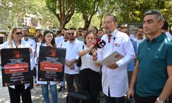 Manisa'da veteriner hekimlerden şiddete karşı iş bırakma eylemi