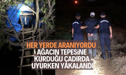 Aranan şahıs ağacın tepesine kurduğu çadırda uyurken yakalandı