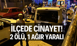 İlçede cinayet: 2 ölü, 1 ağır yaralı