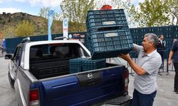 Büyükşehir'in meyve üreticilere kasa desteği sürüyor