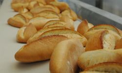 İsrafın boyutu: Türkiye'de çöpe atılan ekmeklerle her yıl 500 okul yapılabilir