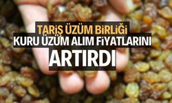  TARİŞ Üzüm Birliği kuru üzüm alım fiyatlarını artırdı